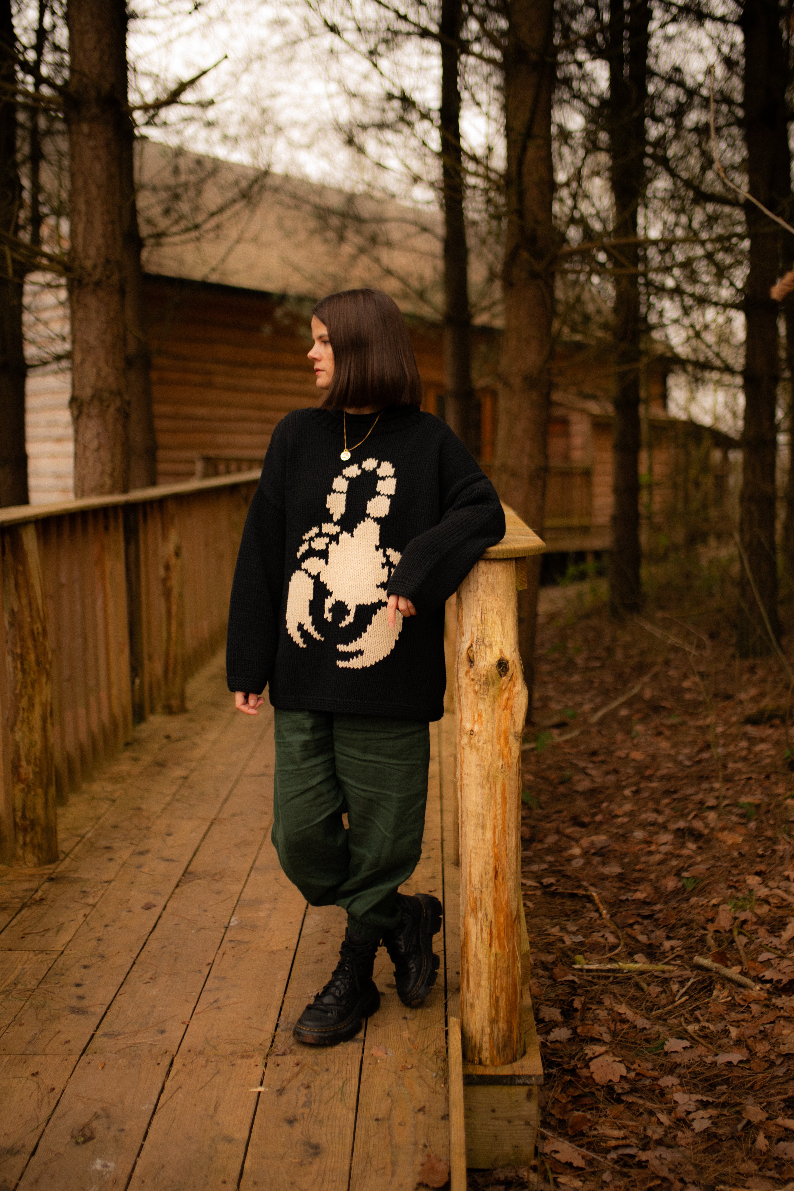 Scorpio Jumper