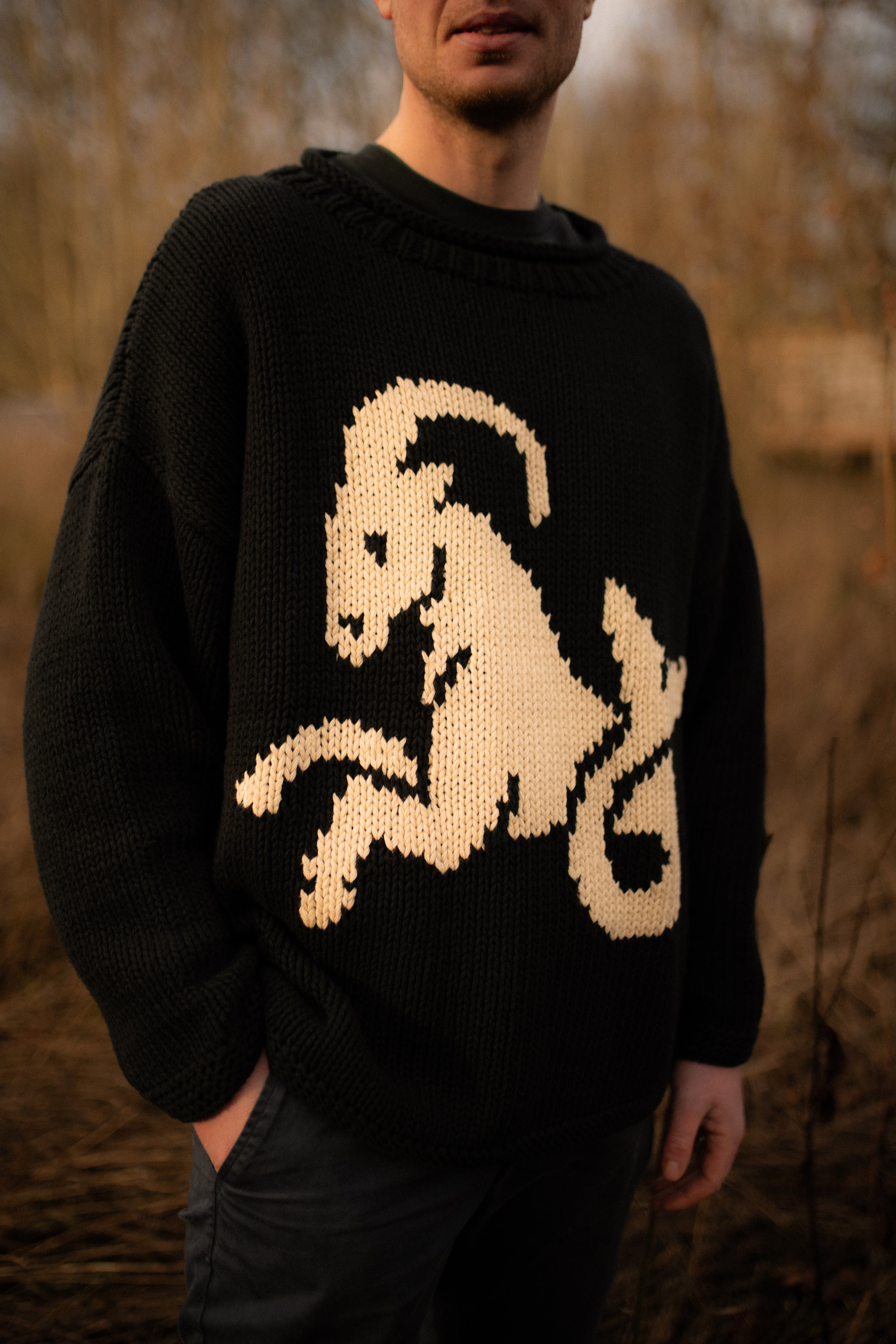 Capricorn Jumper