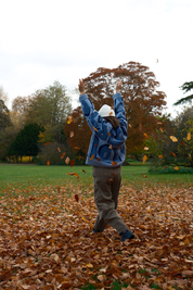Wild Love Wool Jumper - Blue