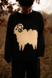 Aries Jumper