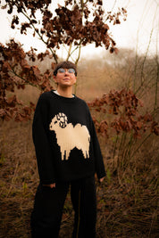Aries Jumper