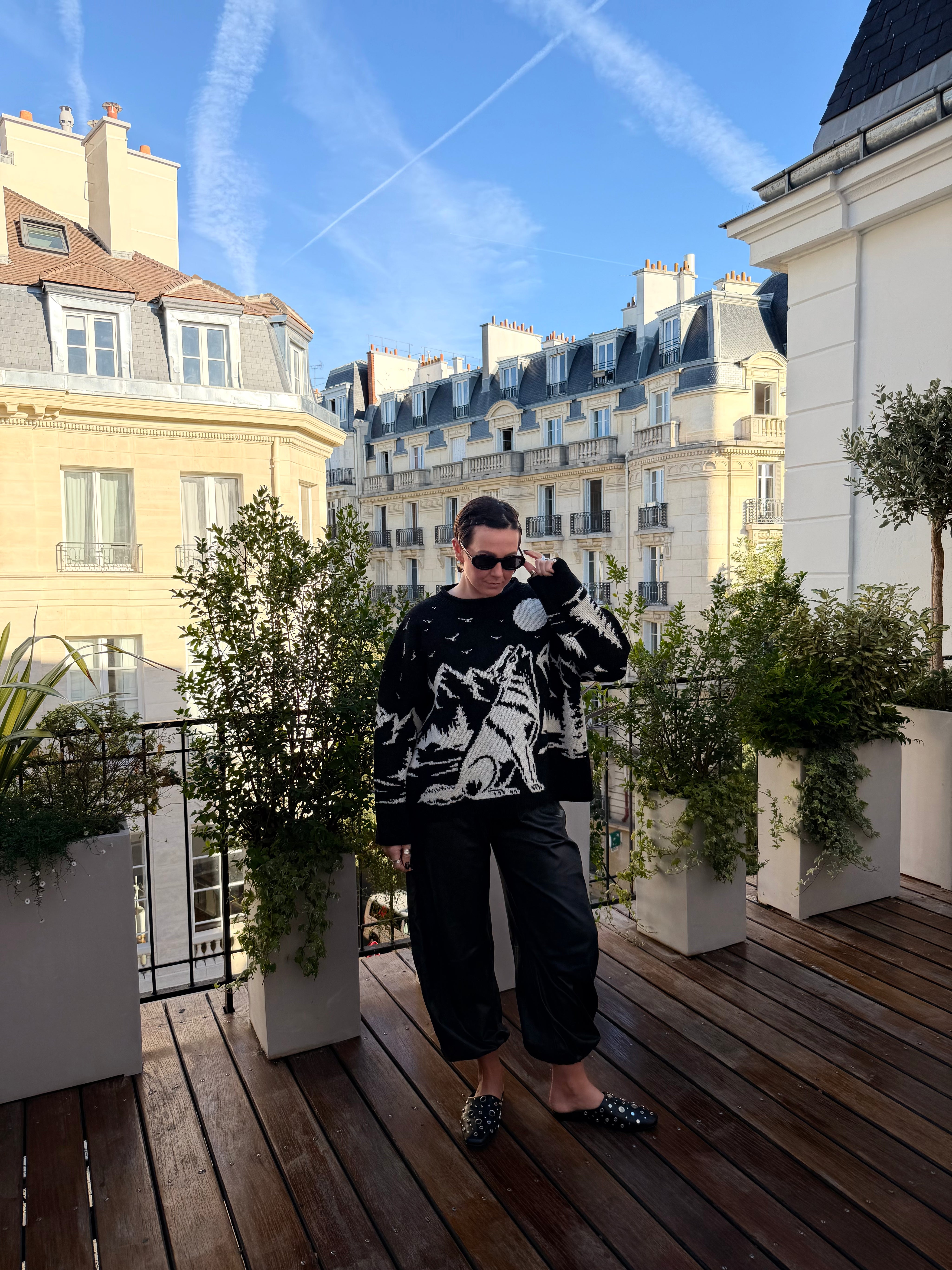 Wolf Wool Jumper